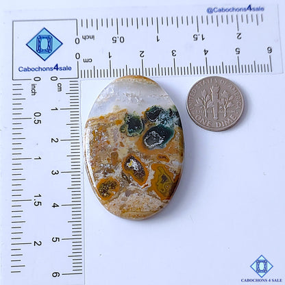 Ocean Jasper