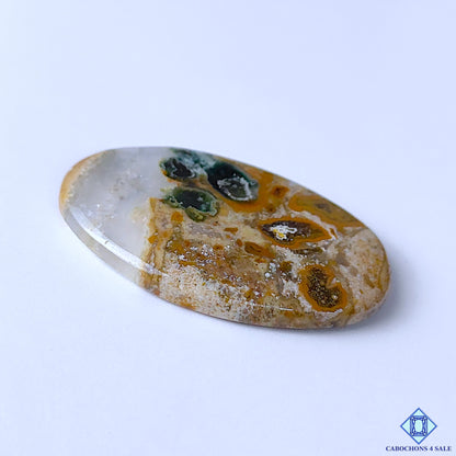 Ocean Jasper