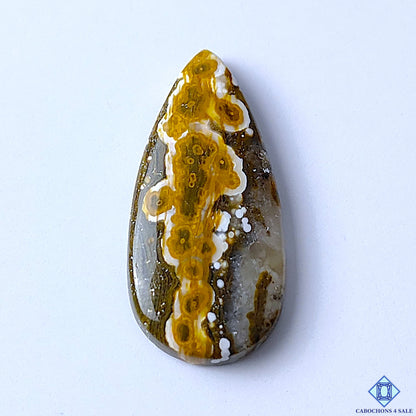 Ocean Jasper