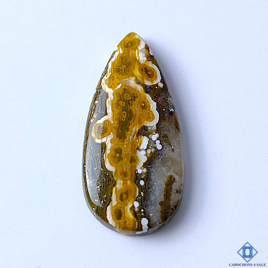 Ocean Jasper
