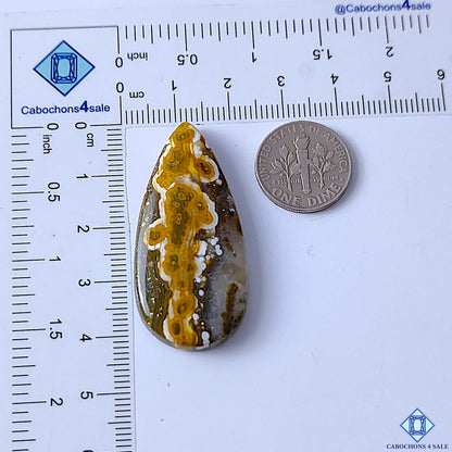 Ocean Jasper