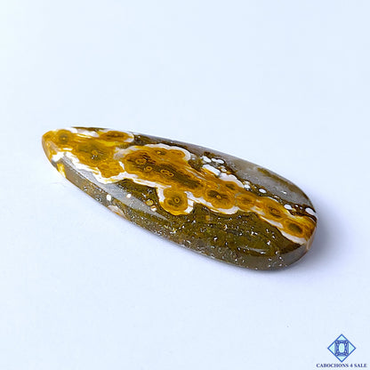Ocean Jasper