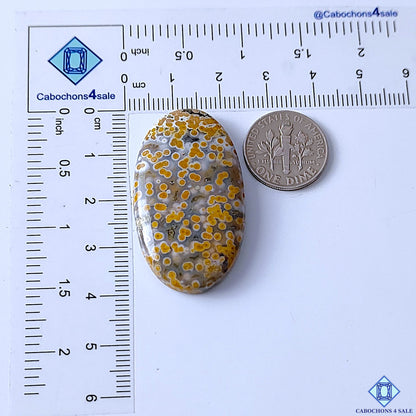 Ocean Jasper