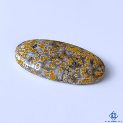 Ocean Jasper