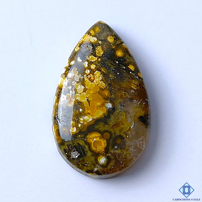 Ocean Jasper