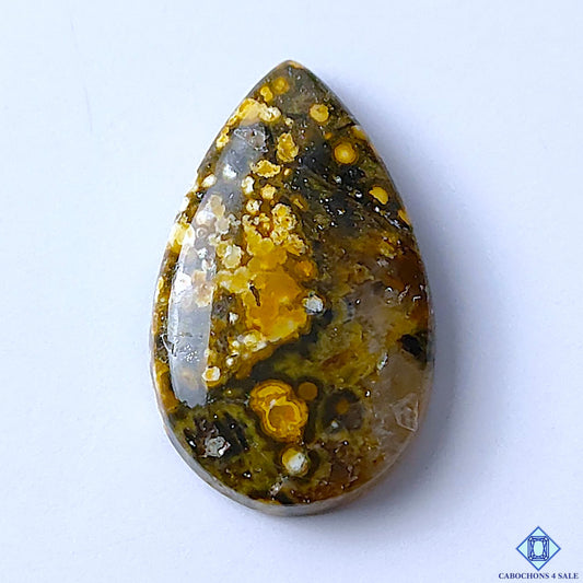 Ocean Jasper