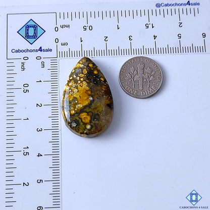 Ocean Jasper