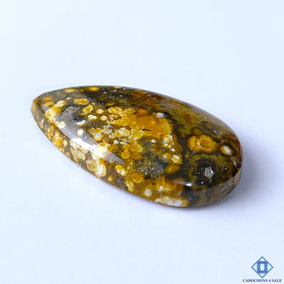 Ocean Jasper