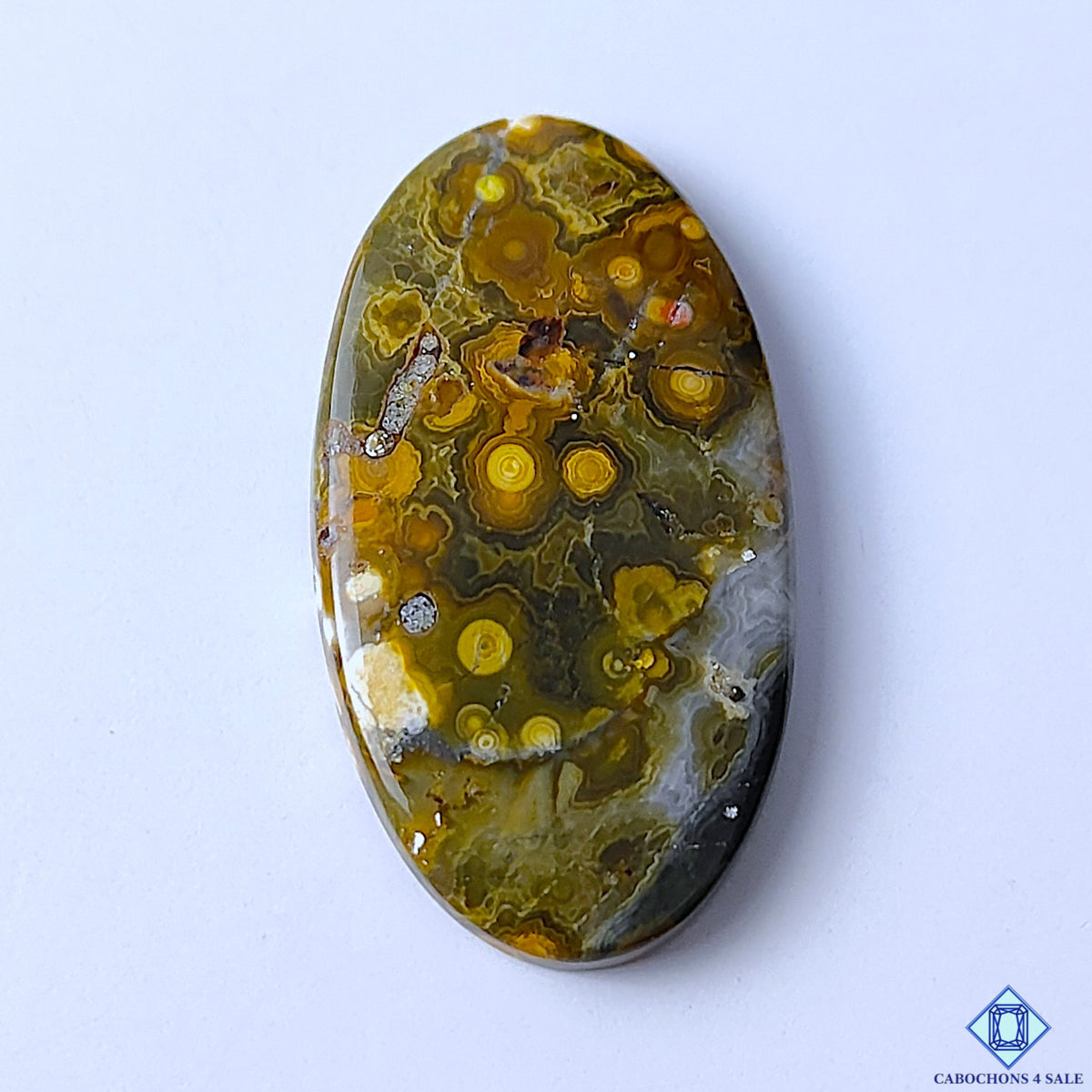 Ocean Jasper