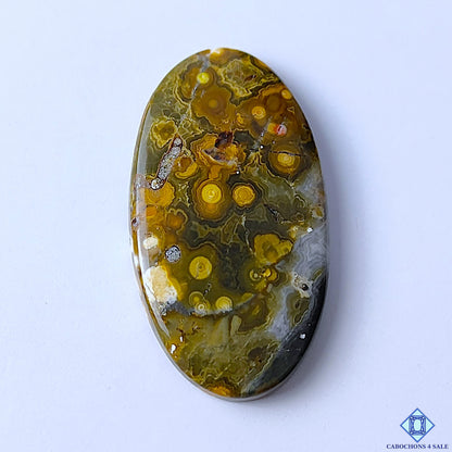 Ocean Jasper