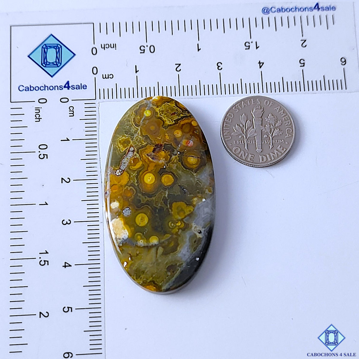 Ocean Jasper