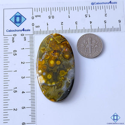 Ocean Jasper
