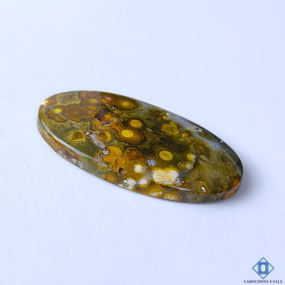 Ocean Jasper