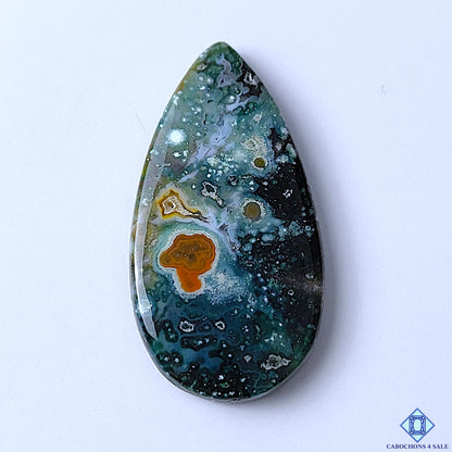 Ocean Jasper