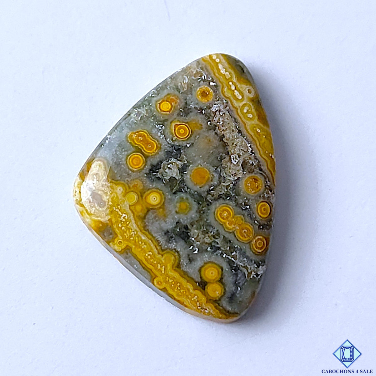 Ocean Jasper