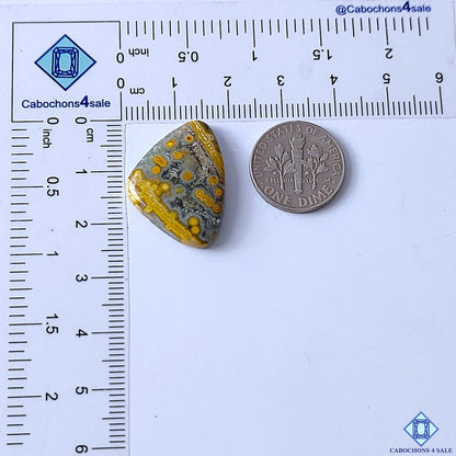 Ocean Jasper