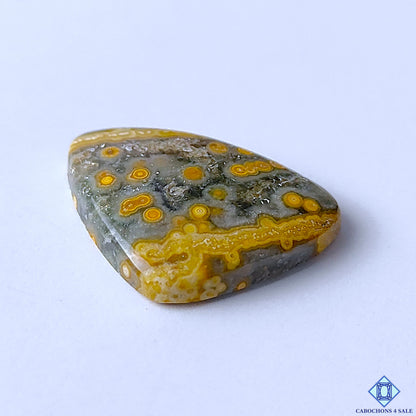 Ocean Jasper
