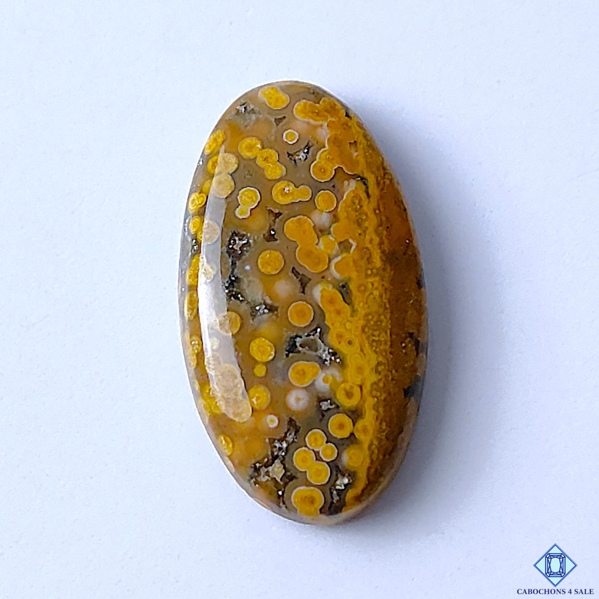 Ocean Jasper