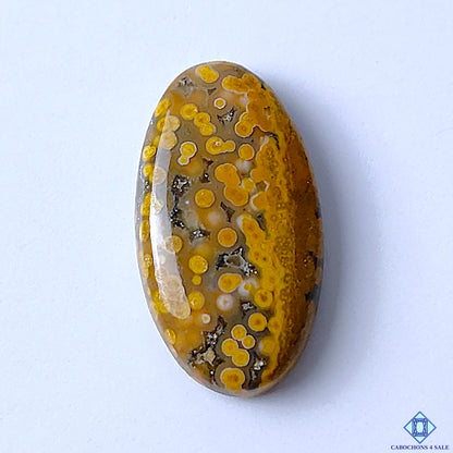 Ocean Jasper