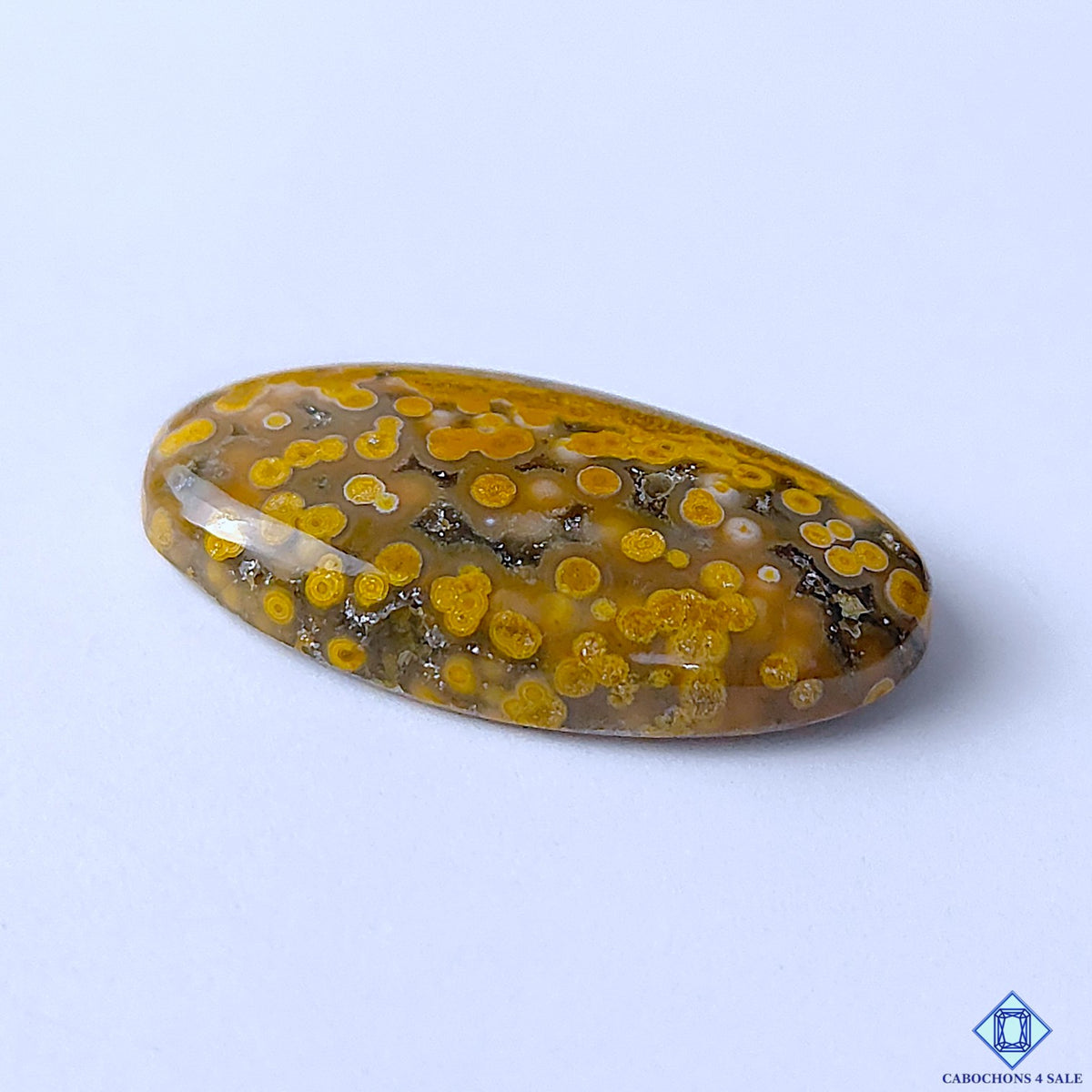 Ocean Jasper