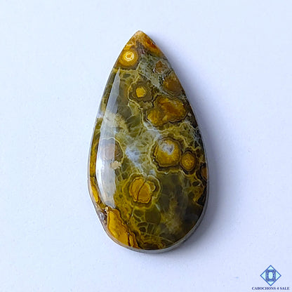 Ocean Jasper