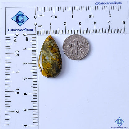 Ocean Jasper