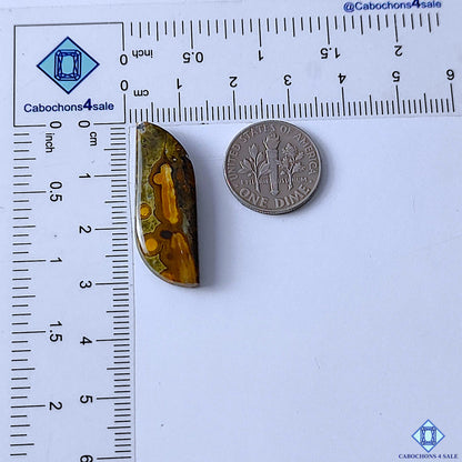 Ocean Jasper