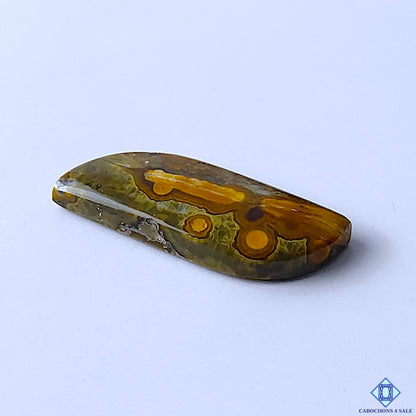 Ocean Jasper