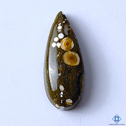 Ocean Jasper