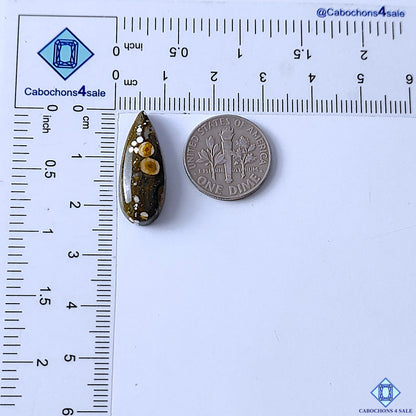 Ocean Jasper