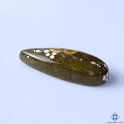 Ocean Jasper