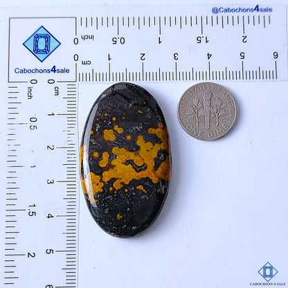 Ocean Jasper