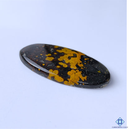 Ocean Jasper