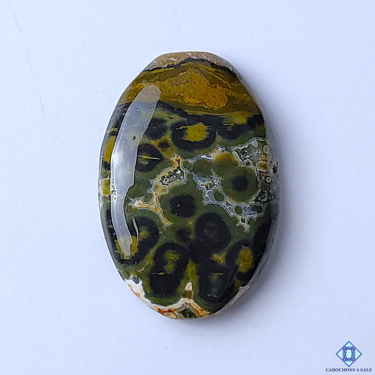 Ocean Jasper