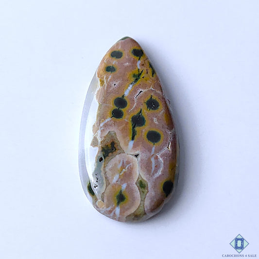 Ocean Jasper