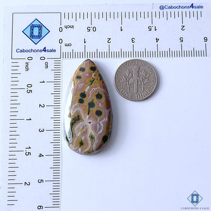 Ocean Jasper