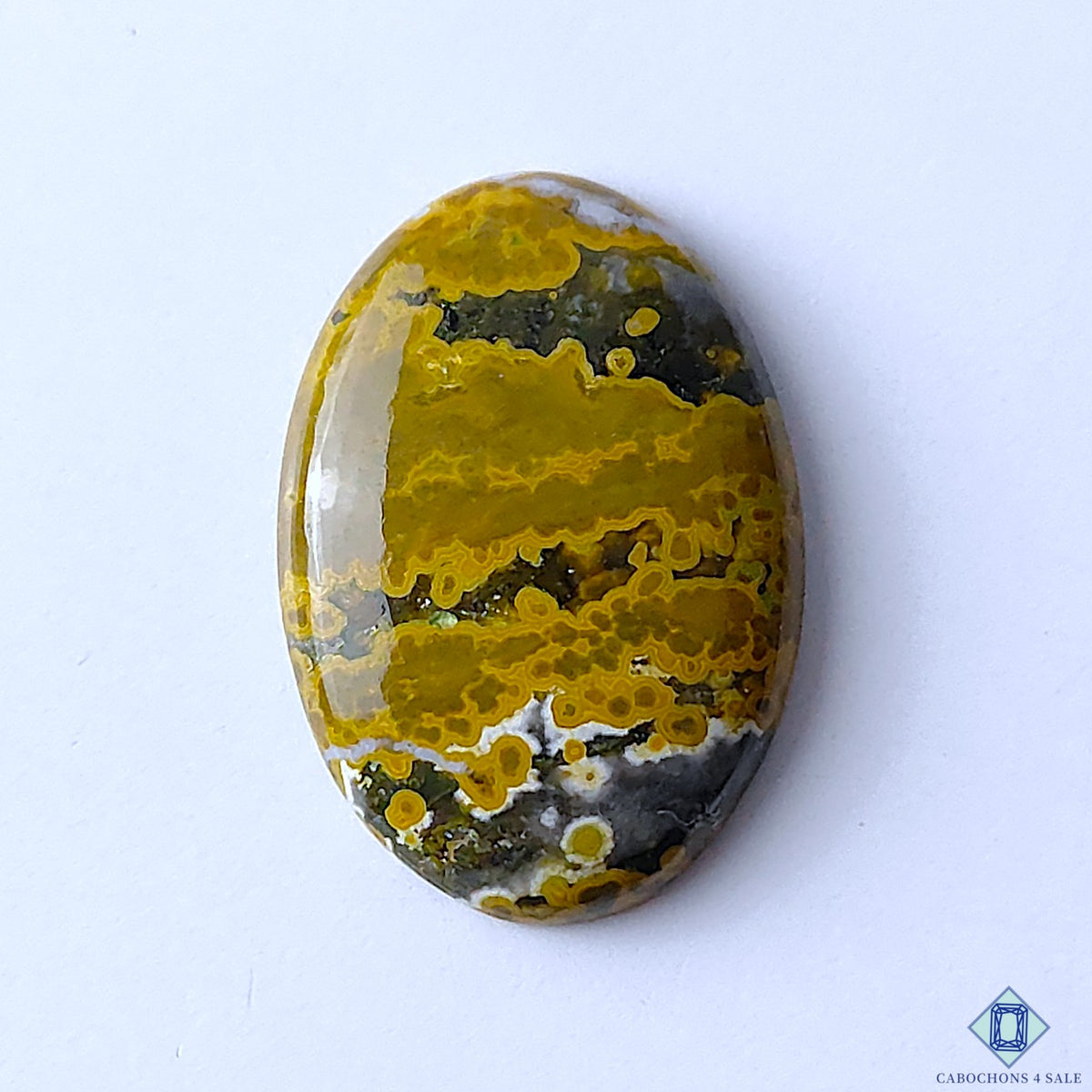 Ocean Jasper