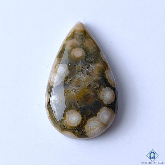 Ocean Jasper