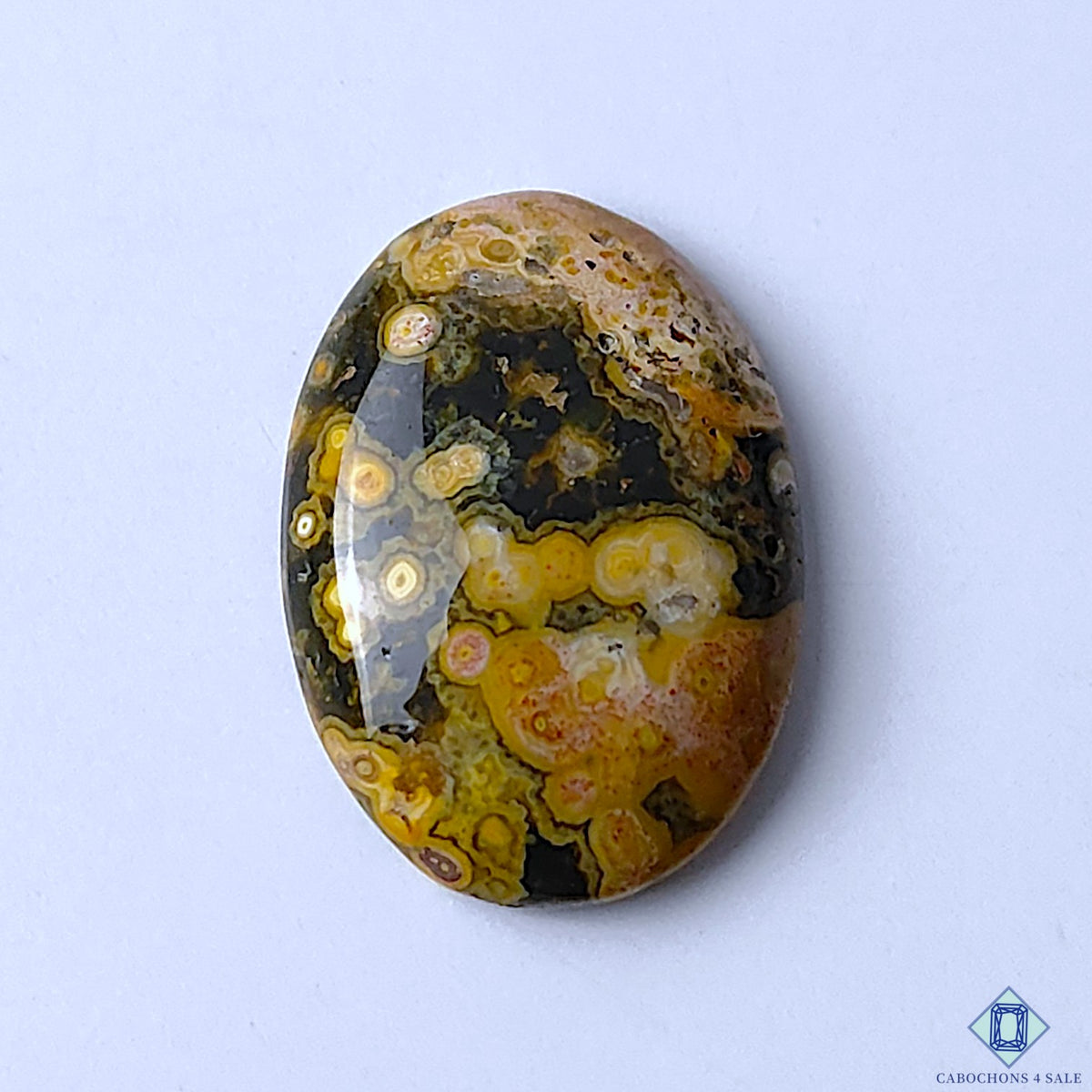 Ocean Jasper