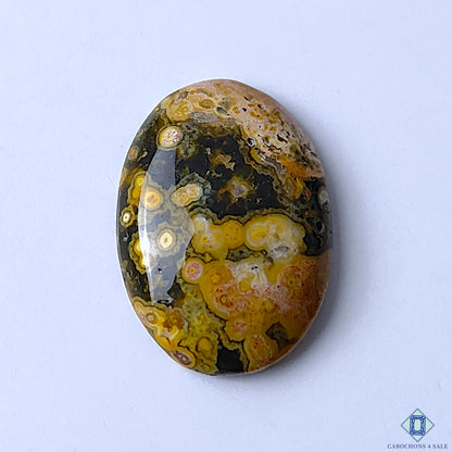 Ocean Jasper