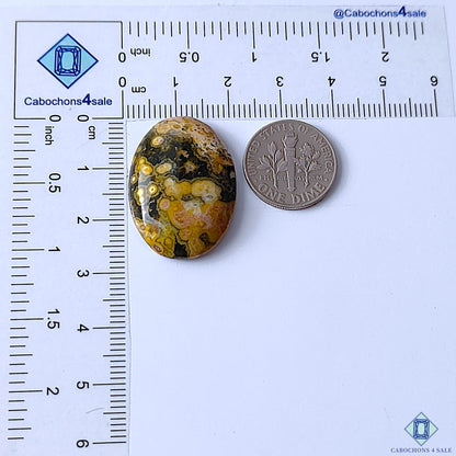 Ocean Jasper