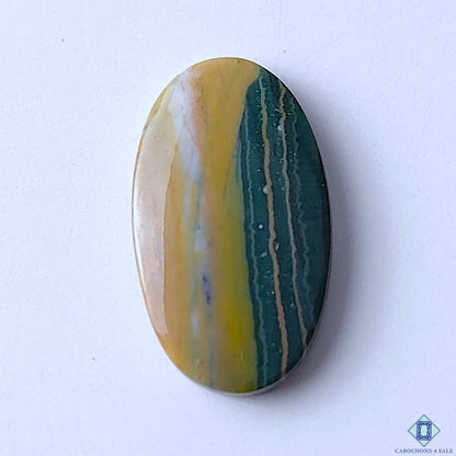 Ocean Jasper