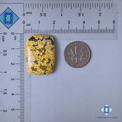 Natural Ocean Jasper Gemstone Fancy Cabochons 26*19*5mm from Madagascar  available for sale