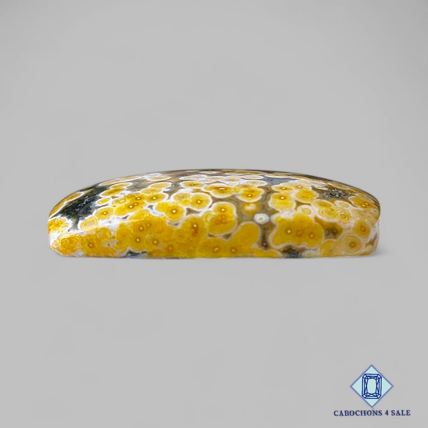 Natural Ocean Jasper Gemstone Fancy Cabochons 26*19*5mm from Madagascar  available for sale