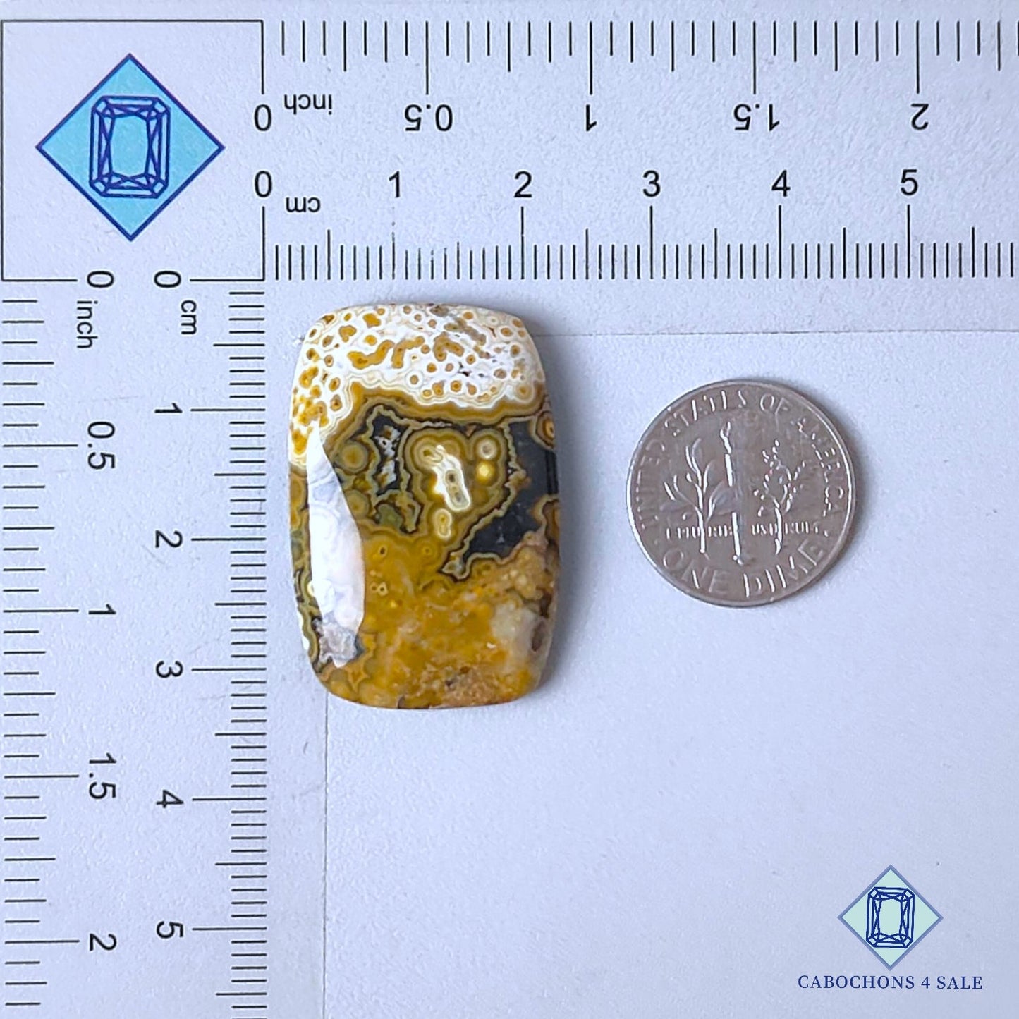 Natural Ocean Jasper Gemstone  Rectangle Cabochons 31*21*5mm from Madagascar  available for sale