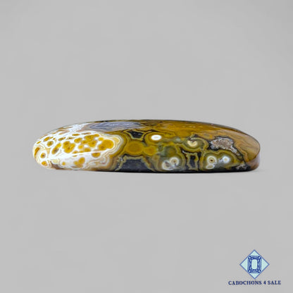 Natural Ocean Jasper Gemstone  Rectangle Cabochons 31*21*5mm from Madagascar  available for sale