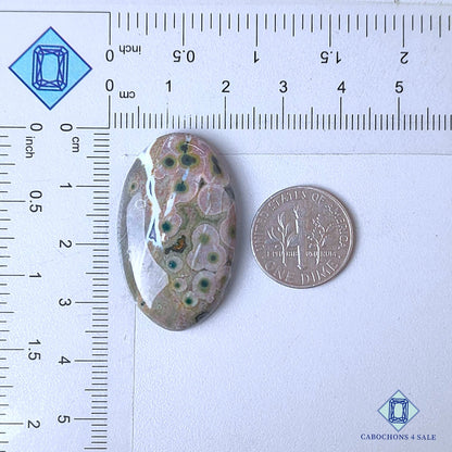 Natural Ocean Jasper Gemstone  Oval Cabochons 34*21*6mm from Madagascar  available for sale