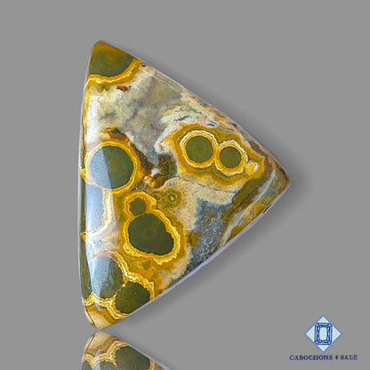 Ocean Jasper