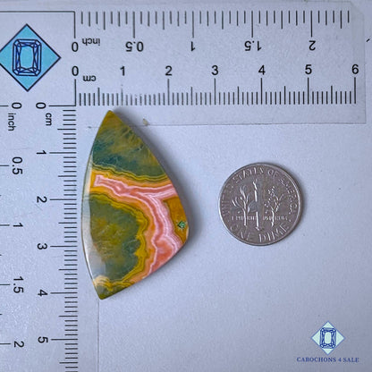 Natural Ocean Jasper Gemstone  Fancy Cabochons 40*23*4mm from Madagascar  available for sale