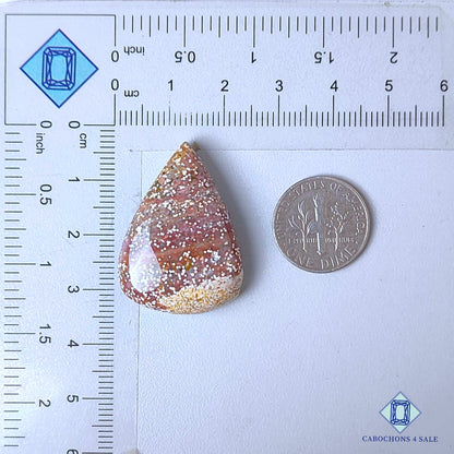 Natural Ocean Jasper Gemstone  Pear Cabochons 31*23*8mm from Madagascar  available for sale